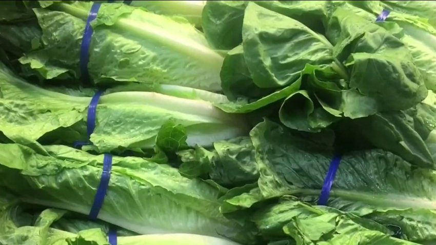 FDA no hizo público ciertos detalles sobre brote de E. Coli en lechugas romanas