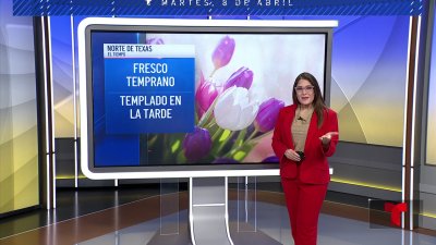 Soleado y primaveral