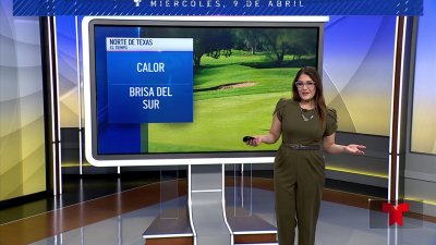 El polen puede estar alto hoy por la brisa y el sol