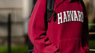 Una persona viste una sudadera de la Universidad de Harvard en el campus de la Universidad de Harvard en Cambridge.