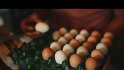 “¿Lo Sabías?”: ¿el color del huevo determina cuál es más nutritivo?