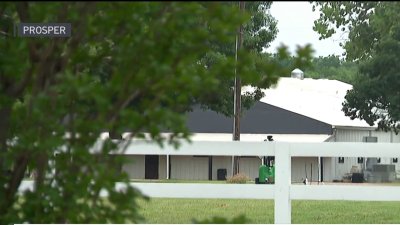 Dos arrestos tras incidente en una fiesta en Prosper