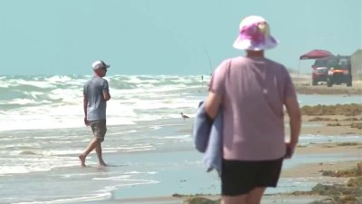 “¿Lo Sabías?”: ¿Hay problema si te llevas la conchas de la playa?