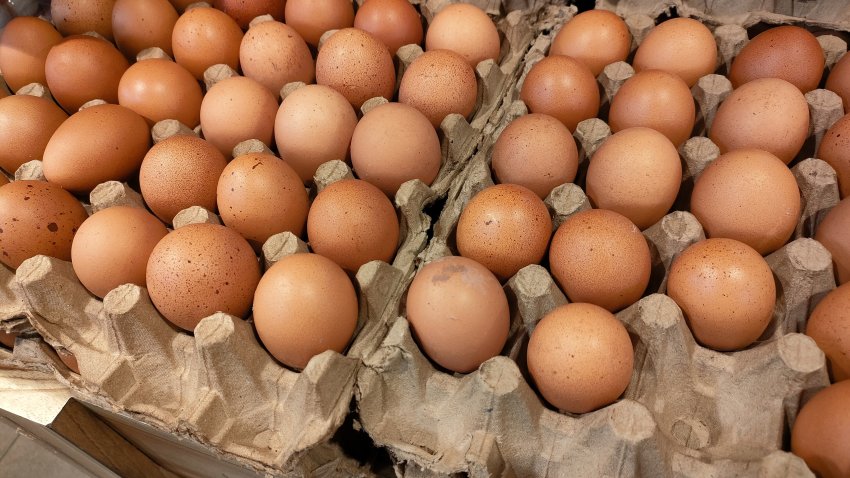 Eggs
