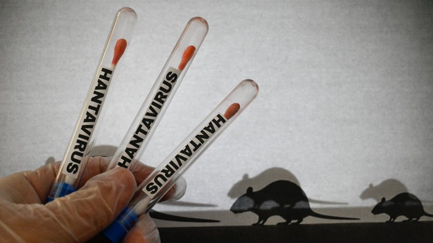 ILLUSTRATION of a hantavirus testing concept with laboratory tubes containing cotton swabs and HANTAVIRUS labels alongside rat silhouettes in the background evoking rodent borne transmission photographed in Paris France May 4 2026. (Photo by Joao Luiz Bulcao / Hans Lucas / AFP via Getty Images)