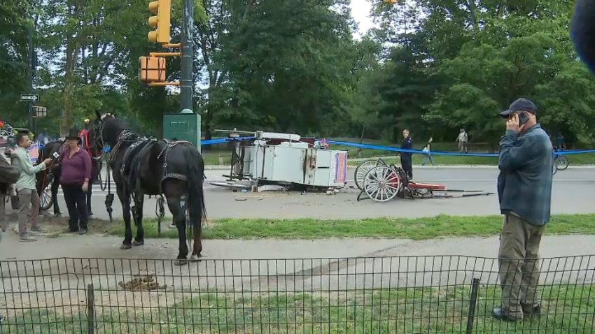 Horse carriage crash site in Central Park after animal runs from driver.