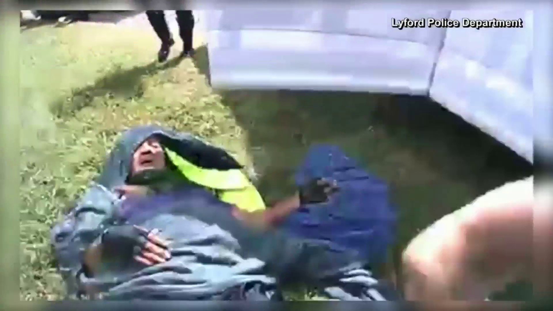 En Texas: policías rescataron a un hombre atacado por un enjambre