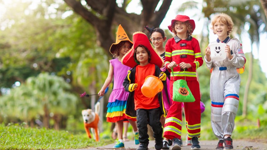 Child in Halloween costume. Mixed race kids and parents trick or treat on street. Little boy and girl with pumpkin lantern and candy bucket. Baby in witch hat. Autumn holiday fun.