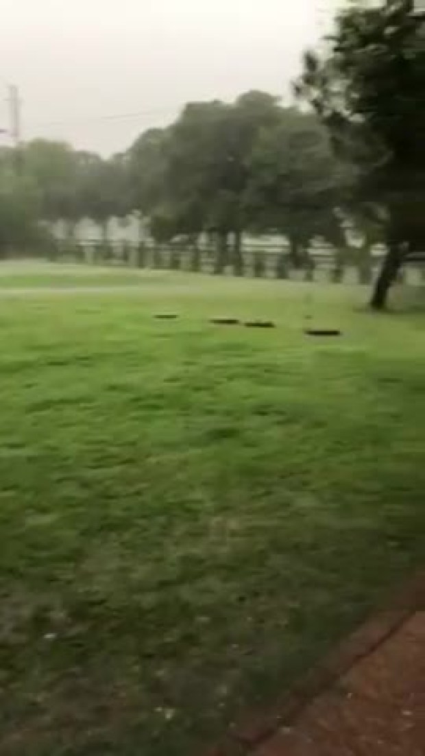 Rain argyle