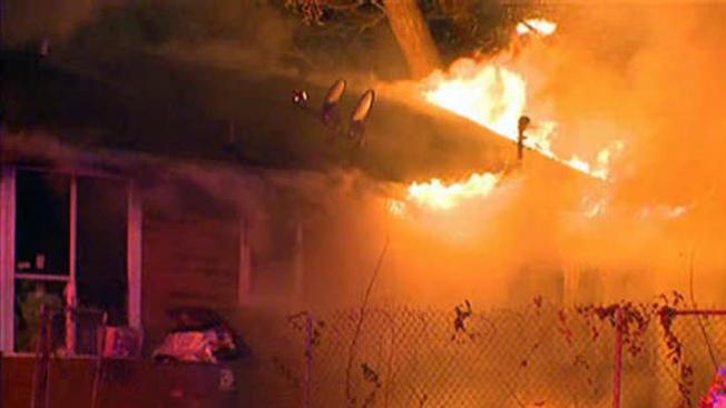 Incendio mata a varios perros
