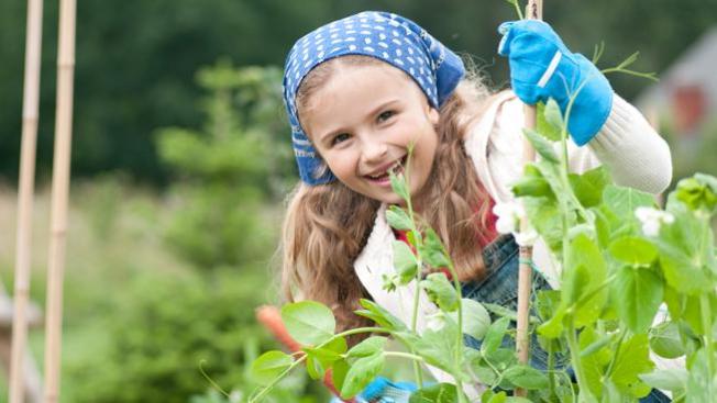 Seminario de jardinería